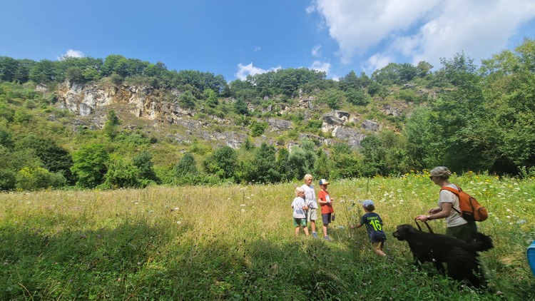 Prairie de la réserve